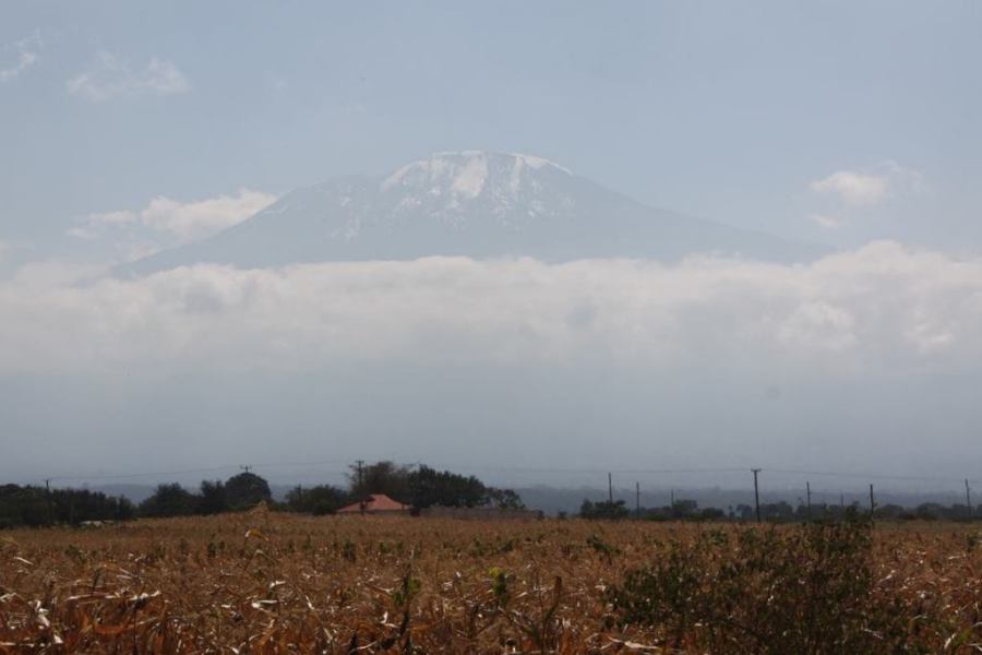 Kilimanjaro 2